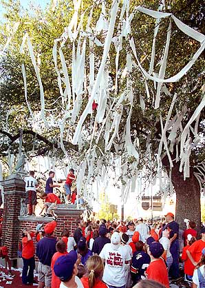 Alabama Fan Tree